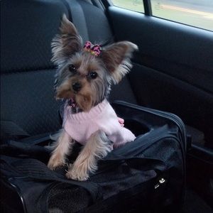 Meet your Posher, Letitia